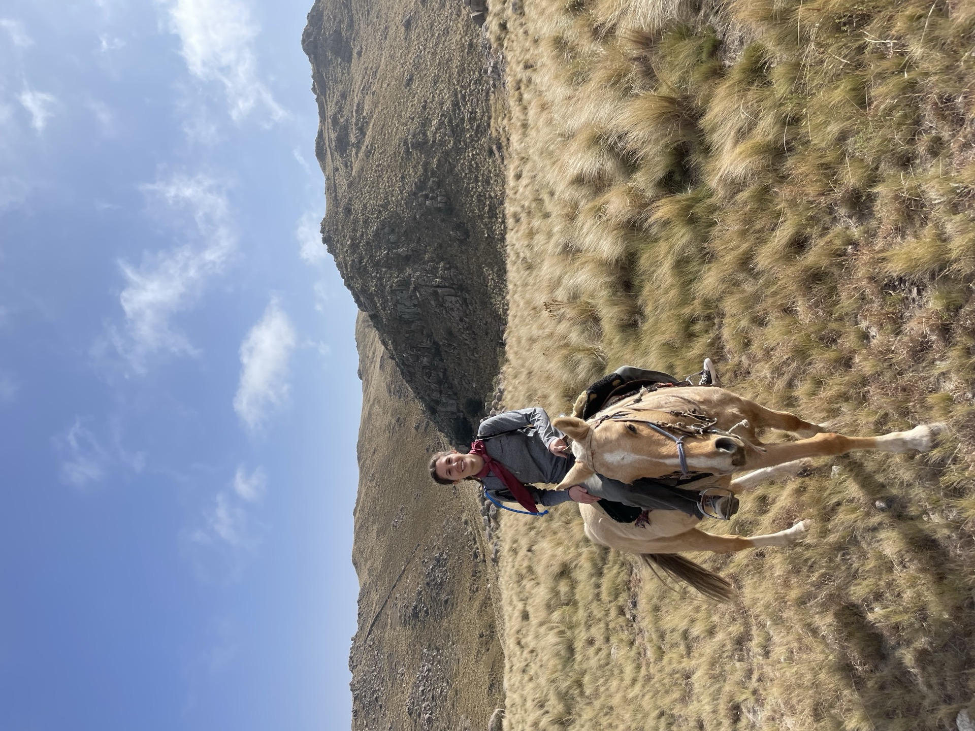 Hidden Saddles Gallery