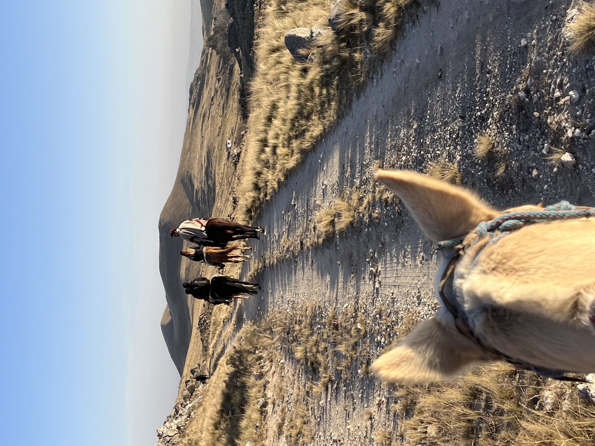 Hidden Saddles Gallery