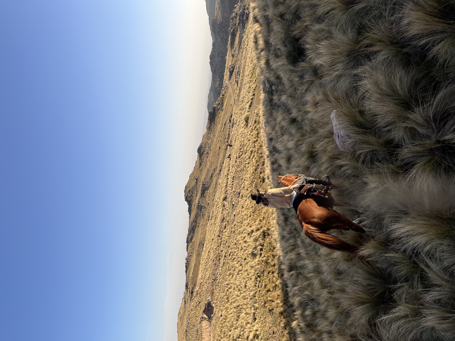 Hidden Saddles Gallery
