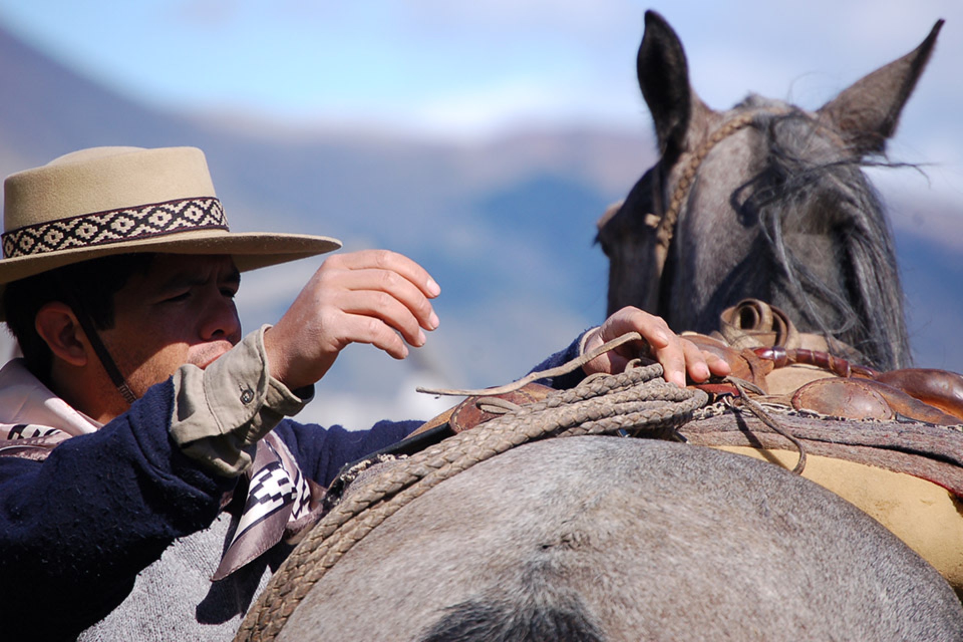 Hidden Saddles Gallery
