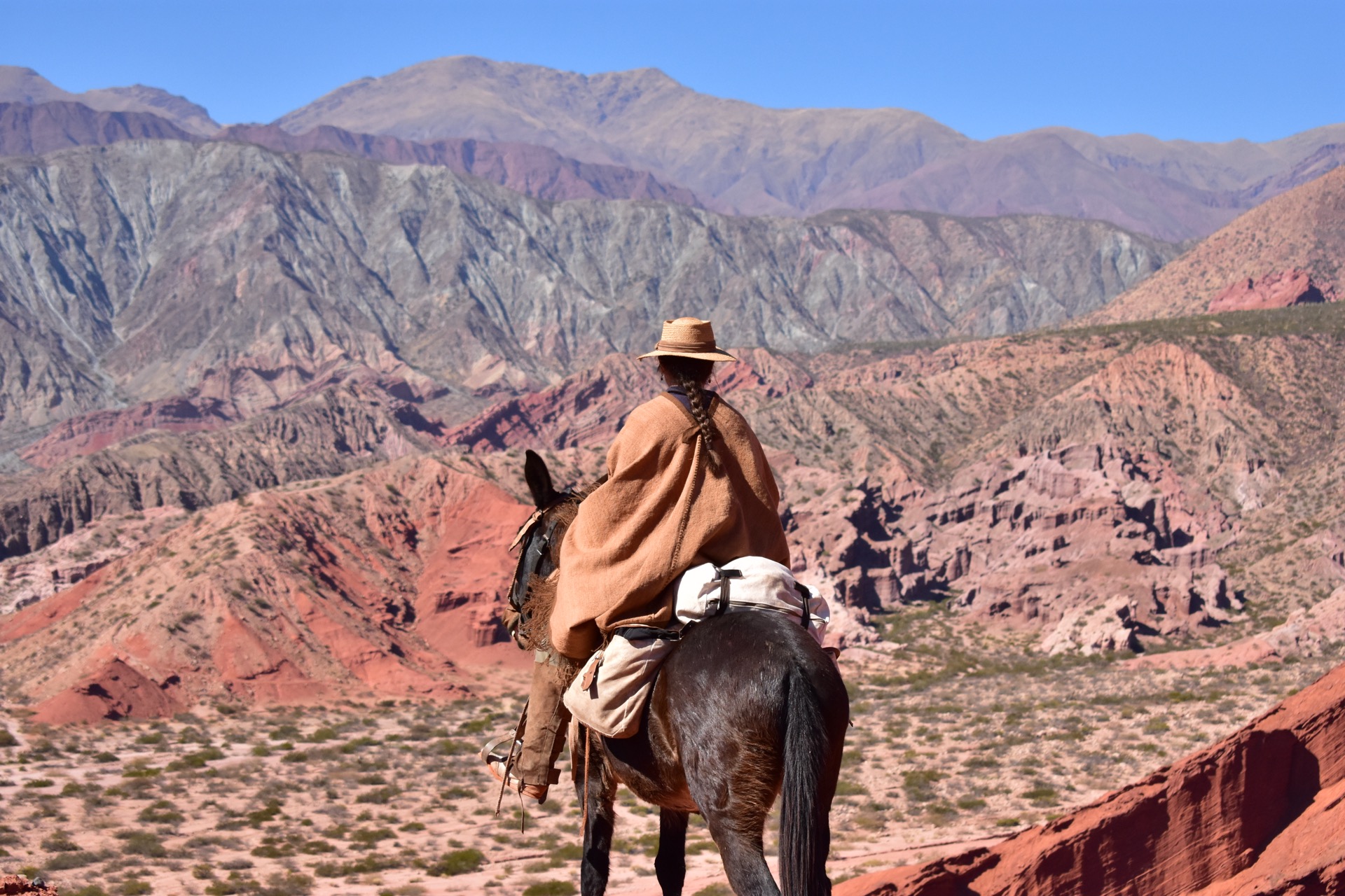 Hidden Saddles Gallery