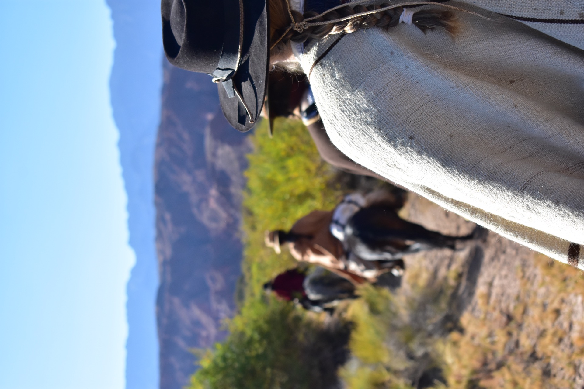 Hidden Saddles Gallery