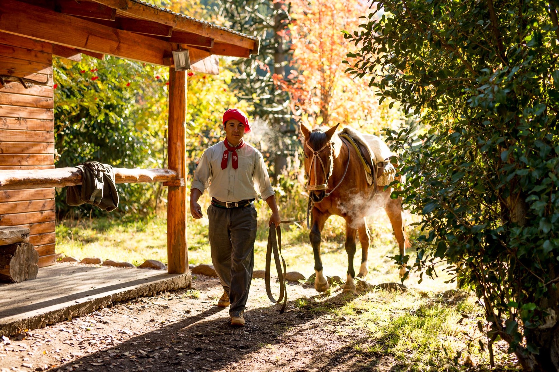 Hidden Saddles Gallery