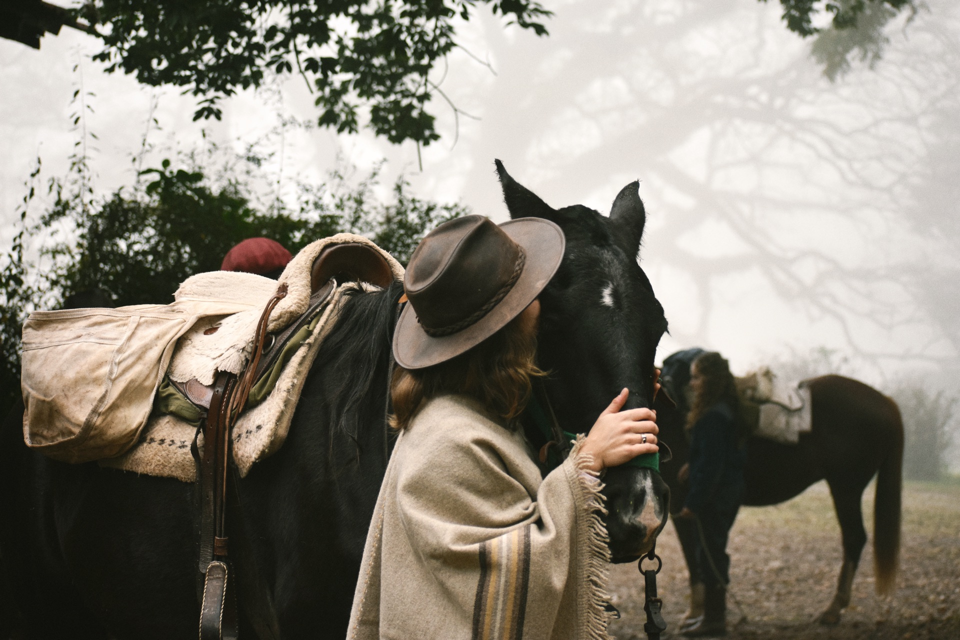 Hidden Saddles Gallery