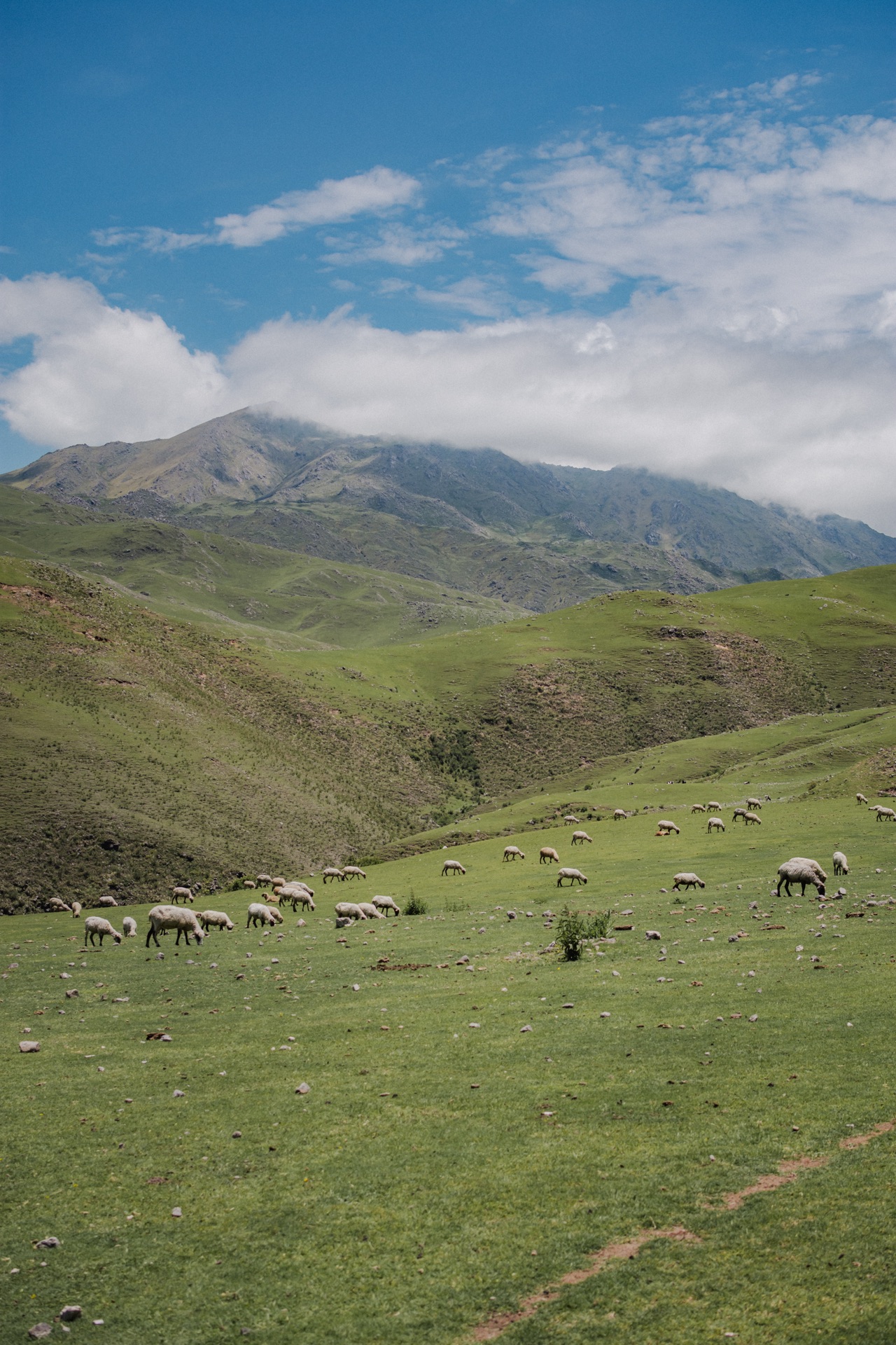 Vista Tafi del Valle