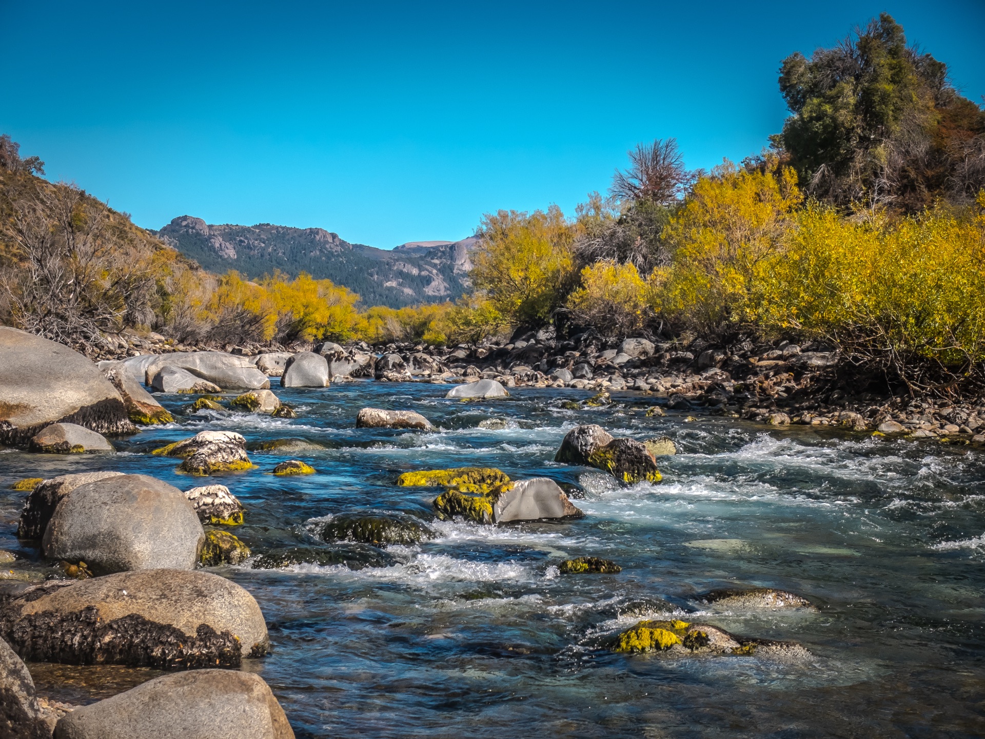 Arroyo Verde Landscape