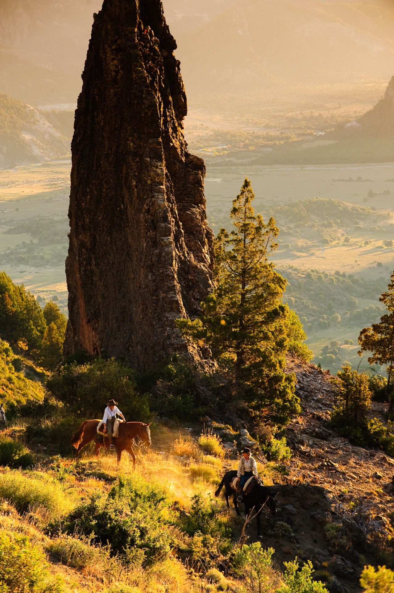 Arroyo Verde Landscape
