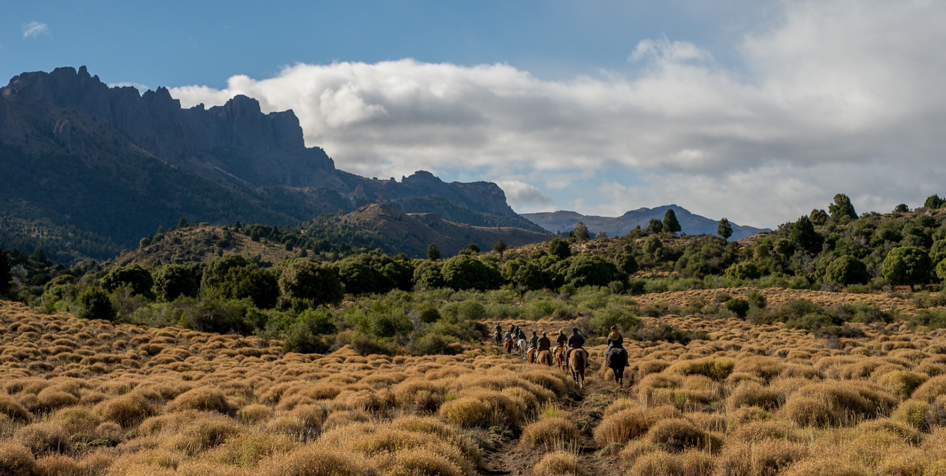 Arroyo Verde Landscape