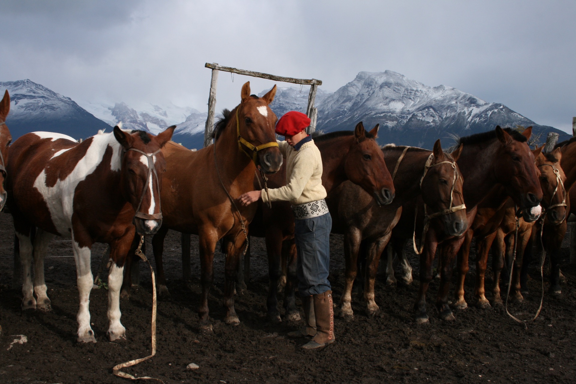Patagonia Activities