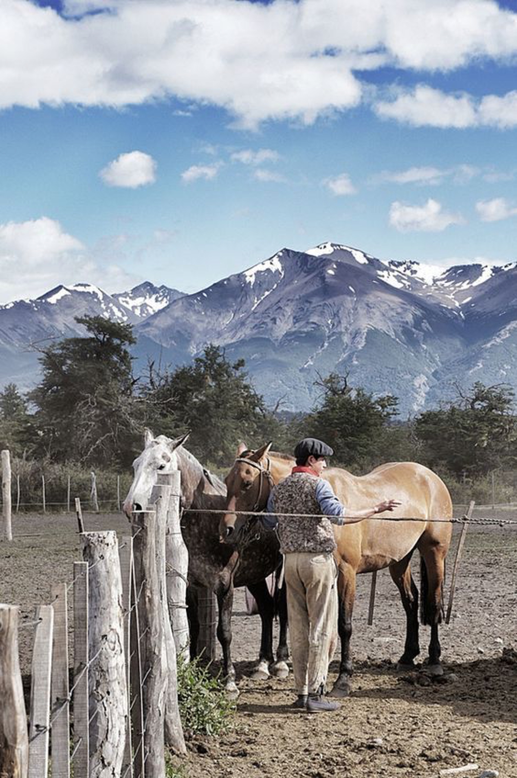 Grupo cabalgando en Cuyo