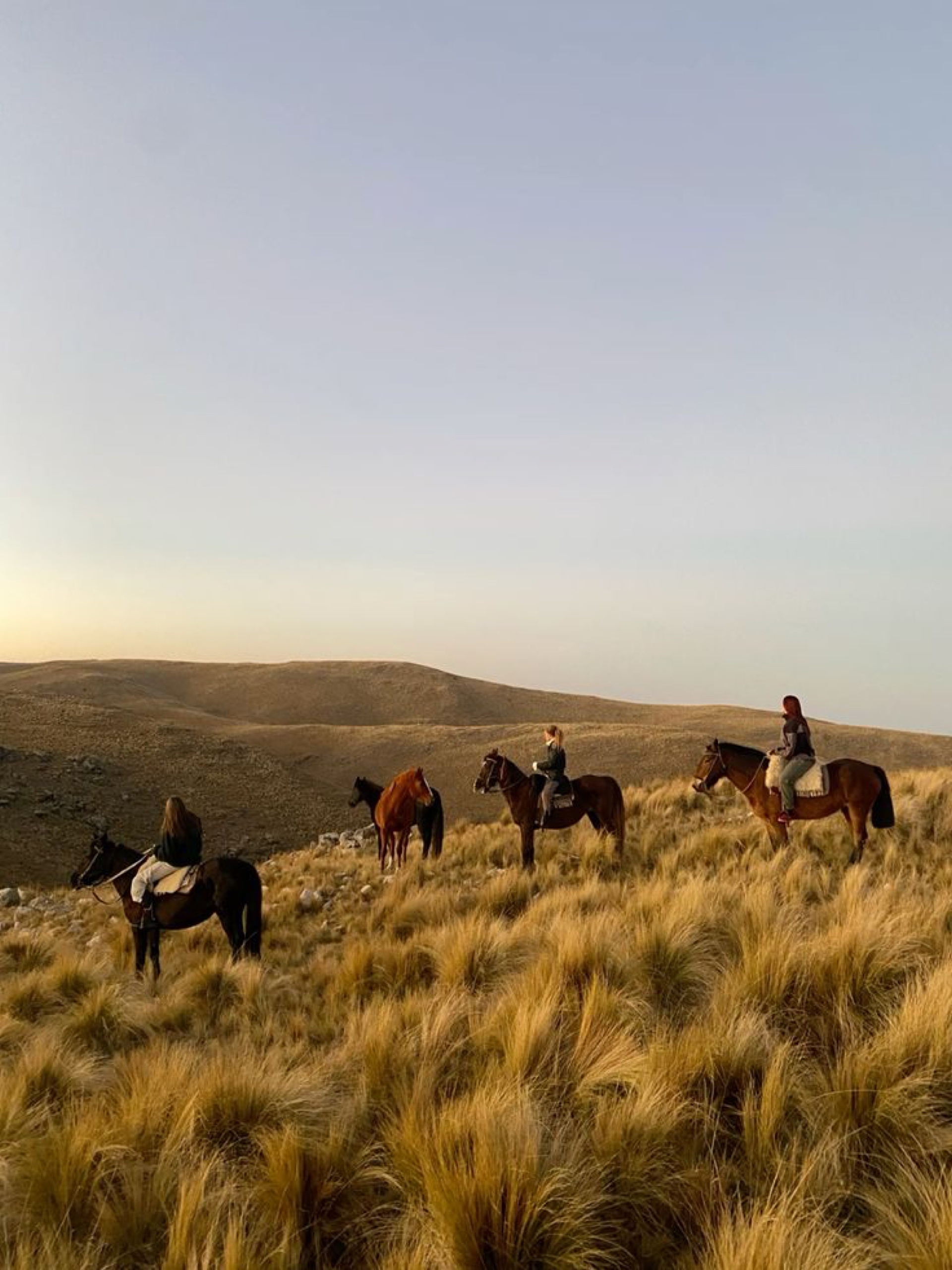 Explorando Reservas Naturales y Noreste