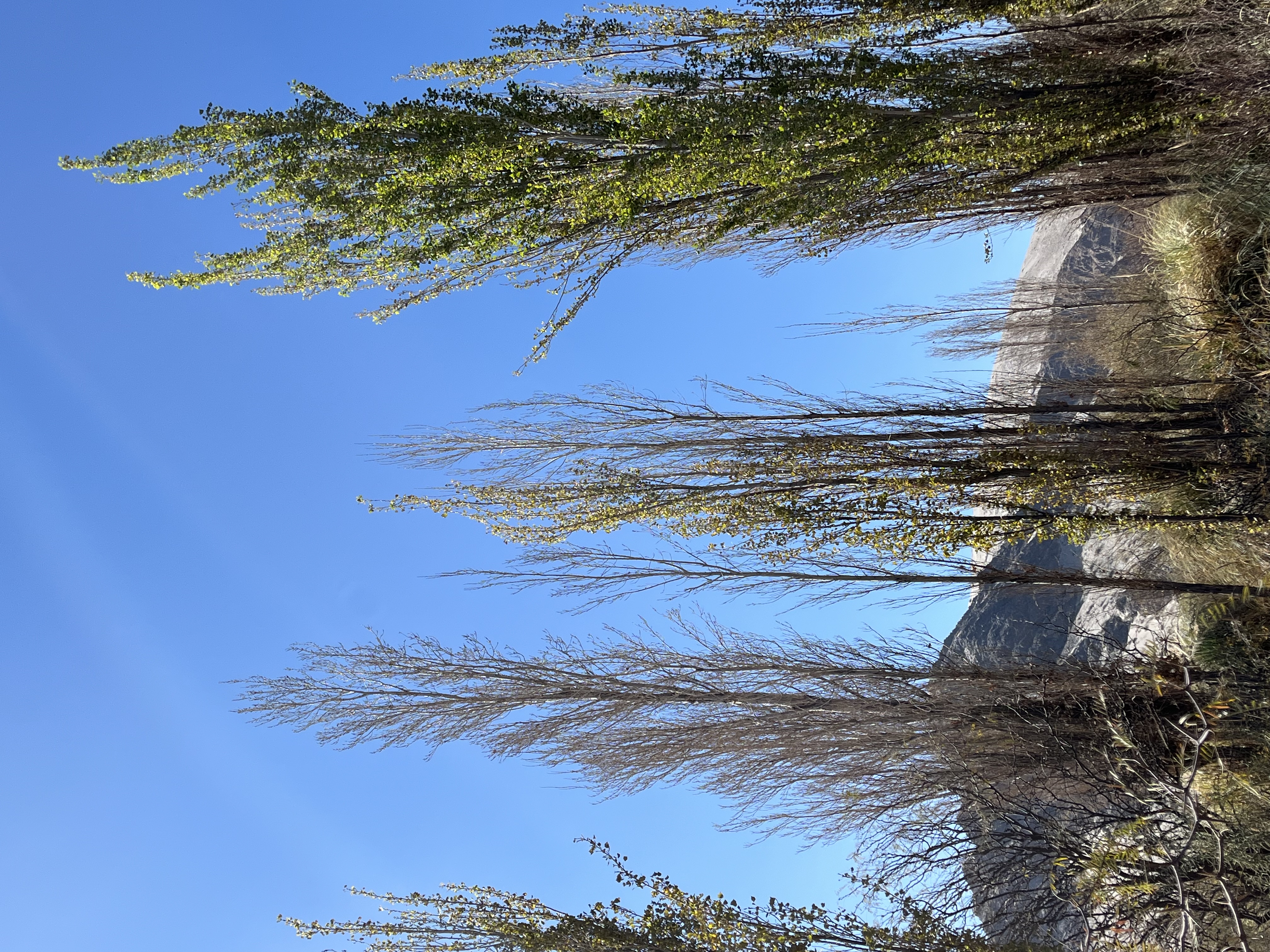 Paisaje de Catamarca
